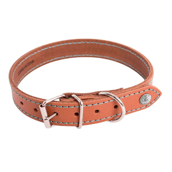Collier pour chien en cuir coloris cognac turquoise Martin Sellier Flash - taille 18/40