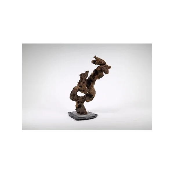 Décoration pour aquarium Aquadeco Congo Tree grand modèle - 35 cm