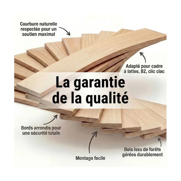 EBAC Lot De 10 Lattes + Embouts Pour Sommier Et Lit - 780x48x8 Mm - Bois Hêtre Durable - 7 Plis
