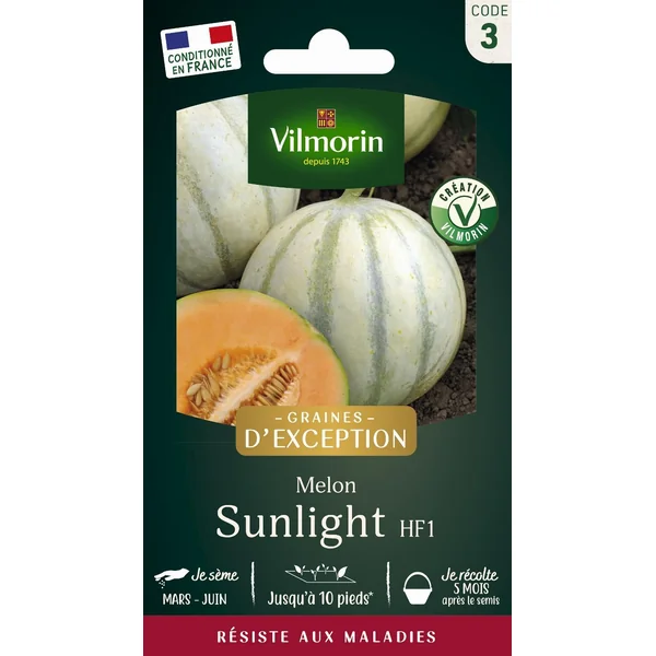 Graines de melon lisse sunlight coloris orange Vilmorin jardin jardin - graines à semer