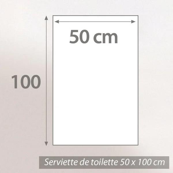 LINNEA Serviette De Toilette 50x100 Cm Coton 500g/m2 Pure Stripes Ii Vert