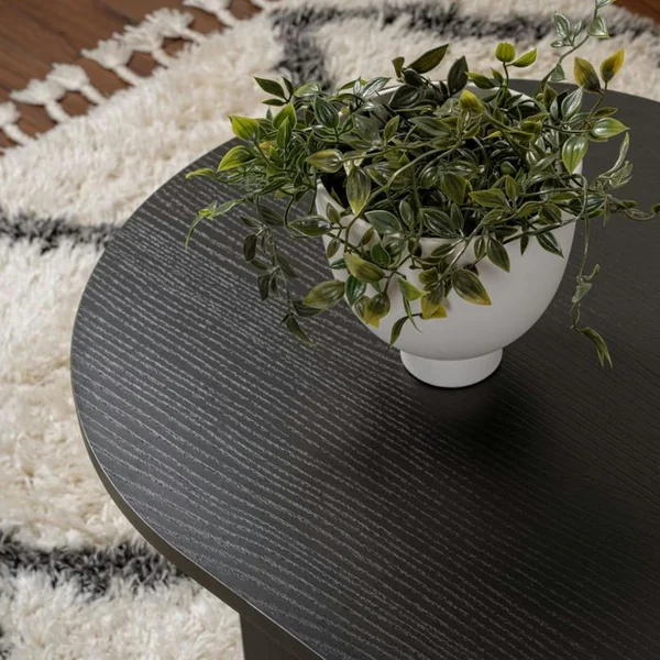 PIER IMPORT Table Basse Ovale Noire Effet Bois - Pieds En V Marfa